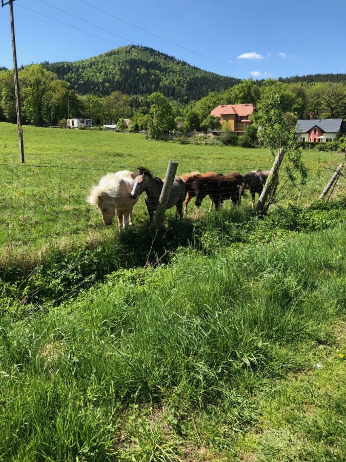 Dom górski do wynajęcia 3 km od Karpacza Sudecka 100 Milków Exterior foto